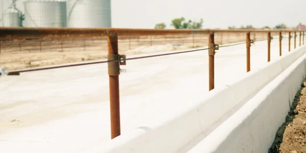 CattleCrete+Good+Clips.01_46_30_40.Still550